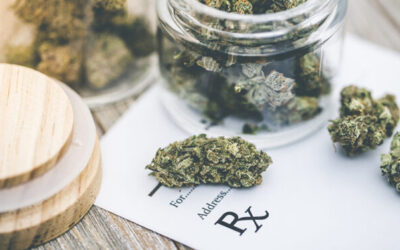 Cannabis and the Workplace