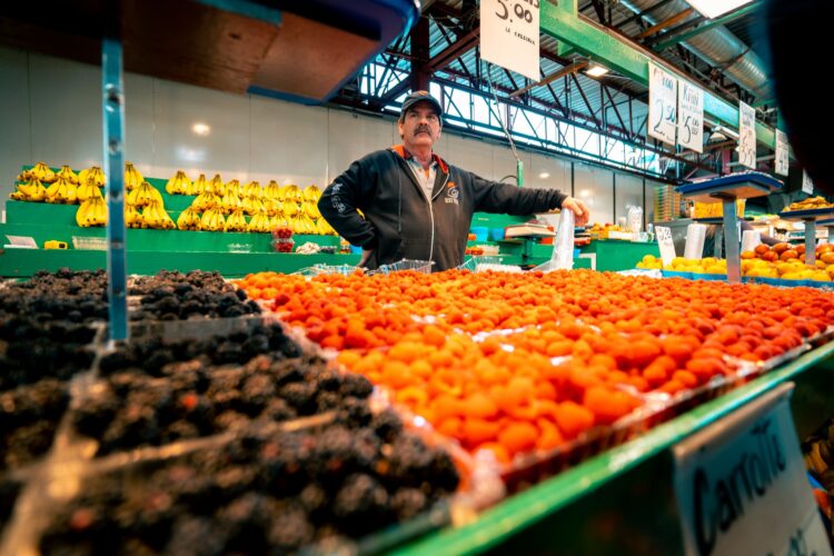 Vendor Management Essentials